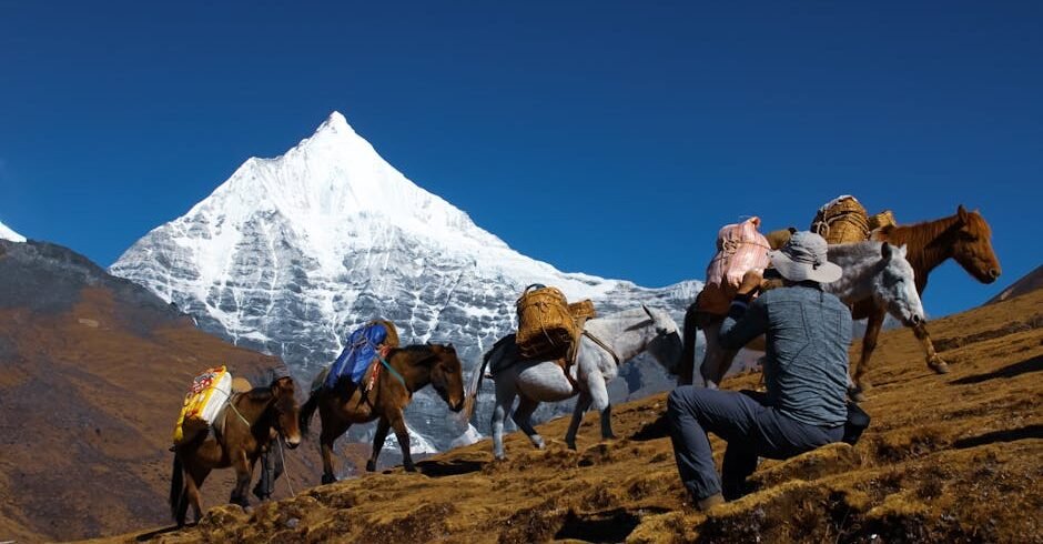A hiker with pack horses traverses the rugged terrain against a backdrop of a snowy mountain peak in Bhutan.