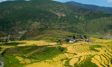 Bhutan Honeymoon Escape